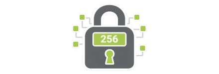 Secure Encrypted Accounts Secure Encrypted Accounts